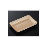 中央化学 トレーCN20ー13E 木曽内(L)2100枚 220236 1ケース(2100枚) 65-9855-67（直送品）