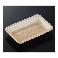 中央化学 トレーCN20ー13F 木曽内(L)2100枚 224501 1ケース(2100枚) 65-9855-68（直送品）