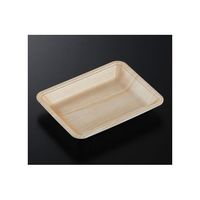 中央化学 トレーCN20ー15F 木曽内(L)1800枚 225722 1ケース(1800枚) 65-9855-71（直送品）