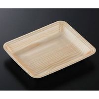 中央化学 トレーCN20ー16F 木曽内(L)1600枚 226167 1ケース(1600枚) 65-9858-27（直送品）