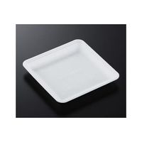 中央化学 トレーCN20ー20EE(L)1200枚 229138 1ケース(1200枚) 65-9855-94（直送品）