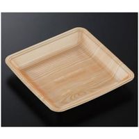 中央化学 トレーCN20ー20FF 木曽内(L)1200枚 229641 1ケース(1200枚) 65-9857-16（直送品）