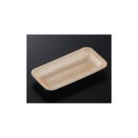 中央化学 トレーCN20ー10E 木曽内(L)2700枚 230144 1ケース(2700枚) 65-9855-64（直送品）