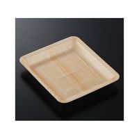 中央化学 トレーCN20ー23FF 木曽内(L)900枚 230169 1ケース(900枚) 65-9857-14（直送品）