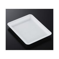 中央化学 トレーCN20ー25EE(L)900枚 230672 1ケース(900枚) 65-9855-95（直送品）