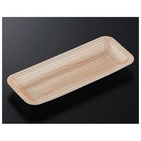 中央化学 トレーCN25ー10E 木曽内(L)2100枚 234401 1ケース(2100枚) 65-9855-73（直送品）