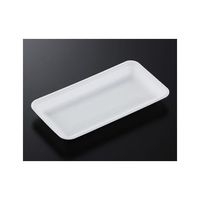 中央化学 トレーCN25ー13E(L)1500枚 235002 1ケース(1500枚) 65-9855-74（直送品）