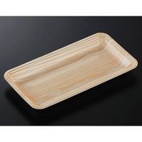 中央化学 トレーCN25ー13E 木曽内(L)1500枚 235283 1ケース(1500枚) 65-9855-75（直送品）