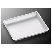 中央化学 トレーC・FSーB5E(LL)1200枚 344150 1ケース(1200枚) 65-9855-53（直送品）