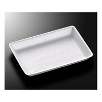 中央化学 トレーC・FSーB4E(LL)1500枚 399576 1ケース(1500枚) 65-9852-07（直送品）