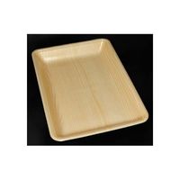 中央化学 トレーCN20ー28F 木曽内 900枚 686808 1ケース(900枚) 65-9850-85（直送品）