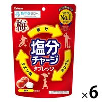 【アウトレット】塩分商材 塩分補給 個包装 塩分チャージタブレッツ 梅味 1セット（1袋×6） カバヤ食品