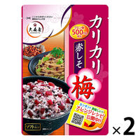 大森屋 カリカリ梅赤しそ 40ｇ 2個