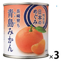 明治屋 日本のめぐみ 長崎育ち 青島みかん 3個