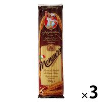 カルディコーヒーファーム モンスーロスパゲッティーニNo.116 1.4mm500g 1セット（3個）パスタ スパゲティ イタリア
