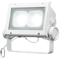 ホタルクス LED投光器 保護等級IP65 標準耐塩塗装 電源一体型 昼白色13000lm 超広角配光 DTE13H40W/NP-4 1台（直送品）