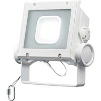 ホタルクス LED投光器 保護等級IP65 標準耐塩塗装 電源一体型 昼白色3800lm 超広角配光 DTE04H40W/NP-4 1台（直送品）