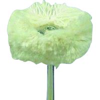 柳瀬 ヤナセ 小径バフ コットンモップバフ 23x15 CMB23 1セット(5個) 418-1912（直送品）