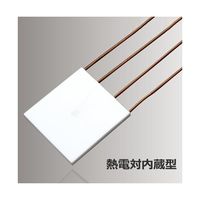 坂口電熱 1000°C対応 熱電対内蔵型 マイクロセラミックヒーター 25mm角 100V 555W MS-1000R 1枚（直送品）