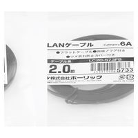 ホーリック LANケーブル UTP カテゴリー6A フラット 2m ブラック LC20-573FB 1本 65-1793-70（直送品）