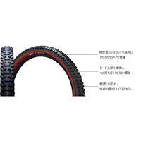 井上ゴム工業 IRC タイヤ TANKEN GEKKOTA TLR 27.5×2.8 ラストカラー 190607 1本（直送品）