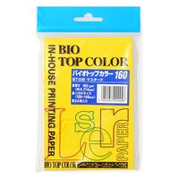 伊東屋 バイオトップカラーハガキ(50枚入) BT039 マスタード 1セット(1パック×10)
