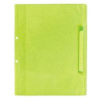 ビュートン クリヤーブックライトグリーンA4 FLCS-A4-10CLG 1セット(1冊×10)