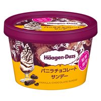 [アイス]ハーゲンダッツ ミニ バニラチョコレートサンデー 110ml×36 4976994206925 1セット(36個)（直送品）