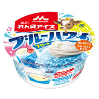 森永乳業 [アイス] 森永れん乳アイス ブルーハワイフロート 150ml×12個 4902720158237 1セット(12個)（直送品）