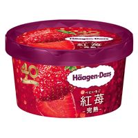 ハーゲンダッツ ジャパン [アイス] ミニカップ 紅苺 -完熟- 100ml×6個 4976994206888 1セット(6個)（直送品）