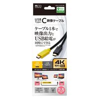 ナカバヤシ Type-C 映像出力/PD給電ケーブル 2.5m USB-CCD25/BK 1本