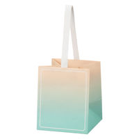 【限定デザイン】 グラデーションギフトバッグ JAR 限定