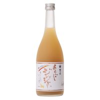 梅乃宿酒造 あらごしジンジャー 720ml 1本 リキュール　果実酒