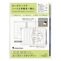 月ページ 絵師100人展13 複製原画 カカオ・ランタン カカオランタン BG