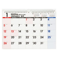 高橋書店 【2025年版】エコカレンダー壁掛 A4 E62 1セット(1冊×2)（直送品）