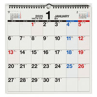 高橋書店 【2025年版】エコカレンダー壁掛 A3変型 月曜始まり E17 1冊（直送品）