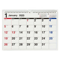 高橋書店 【2025年版】エコカレンダー壁掛 A4 E61 1セット(1冊×2)（直送品）