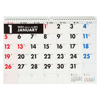 高橋書店 【2025年版】エコカレンダー壁掛 A3 E15 1冊（直送品）