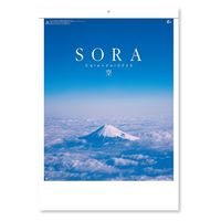 新日本カレンダー 【2025年版】壁掛カレンダー SORA-空- A2 NK8134 1冊（直送品）