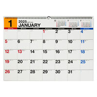 高橋書店 【2025年版】エコカレンダー壁掛 B3 E53 1冊（直送品）