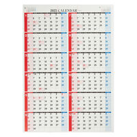 高橋書店 【2025年版】エコカレンダー壁掛 A2 年間 ポスタータイプ E1 1セット(1冊×2)（直送品）