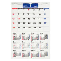 高橋書店 【2025年版】エコカレンダー壁掛 A3 E18 1冊（直送品）