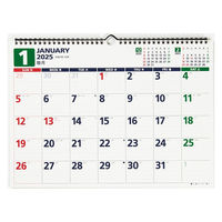 高橋書店 【2025年版】エコカレンダー壁掛 B4 E79 1冊（直送品）