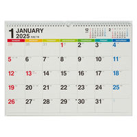 高橋書店 【2025年版】エコカレンダー壁掛 A3 E10 1冊（直送品）