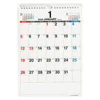 高橋書店 【2025年版】エコカレンダー壁掛 A4 E63 1セット(1冊×2)（直送品）