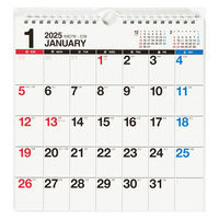 高橋書店 【2025年版】エコカレンダー壁掛 A4変型 E66 1セット(1冊×2)（直送品）