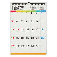 高橋書店 【2025年版】エコカレンダー壁掛 A4 E69 1冊（直送品）