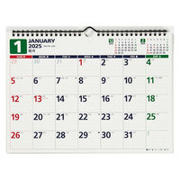 高橋書店 【2025年版】エコカレンダー壁掛 A4 E64 1セット(1冊×2)（直送品）