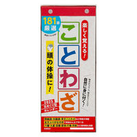高橋書店 【2025年版】日めくり型 ことわざカレンダー A4変型 縦長 E511 1冊（直送品）