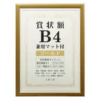 万丈 賞状額B4兼用マット付 ゴールド 105883 1枚（直送品）